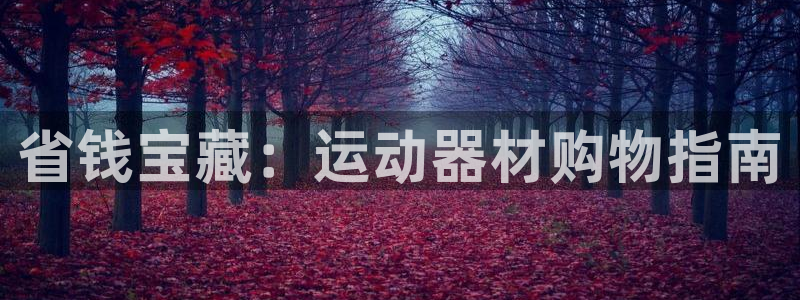 球速体育QsTY官方正版app官网：省钱宝藏：运动器材购物指