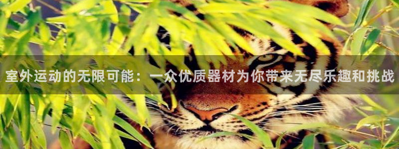 海南球速体育QsTY官网下载发展怎么样：室外运动的无