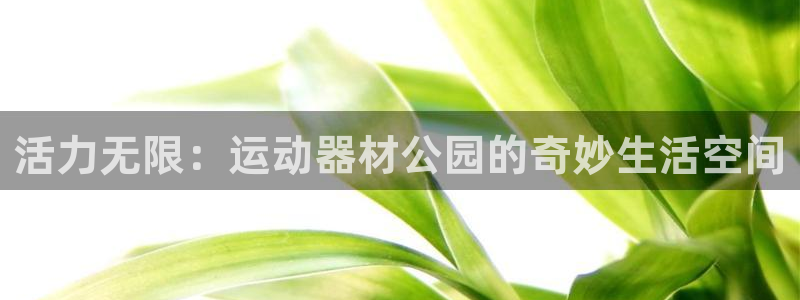 球速体育QsTY官网下载招商电话地址查询：活力无限：运动器材
