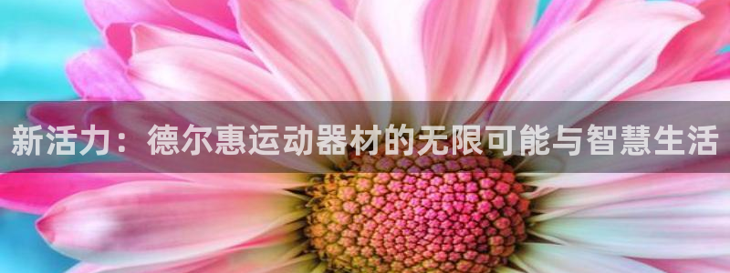 ,球速官方集团官网：新活力：德尔惠运动器材的无限可能与智慧生