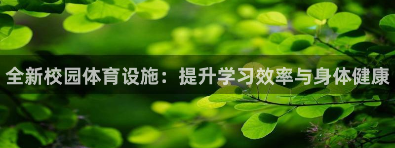 球速体育QsTY官网下载是干嘛的公司：全新校园体育设