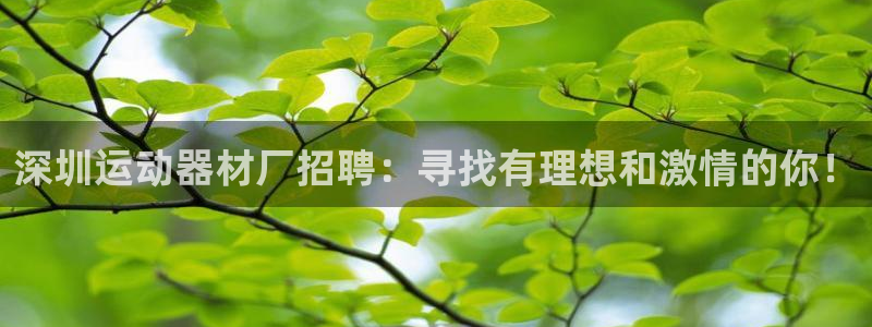 球速体育QsTY官网下载招商电话是多少