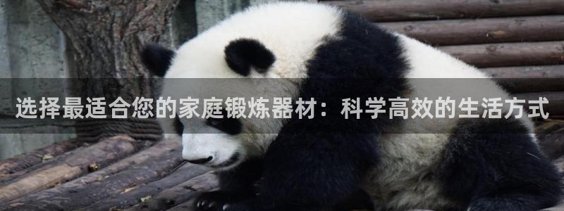 球速体育QsTY官方正版app代理：选择最适合您的家庭锻炼器