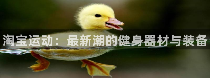 球速体育QsTY官网下载招商电话号码是多少