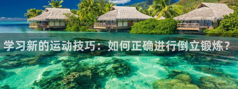 ,球速官方集团官网